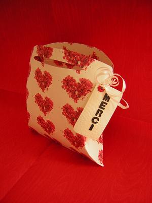 Mini Sac