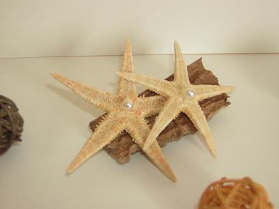 Etoiles de table